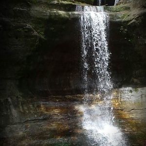 Meet your Posher, Peggy